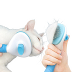 Pet Hair Brush & Grooming Comb