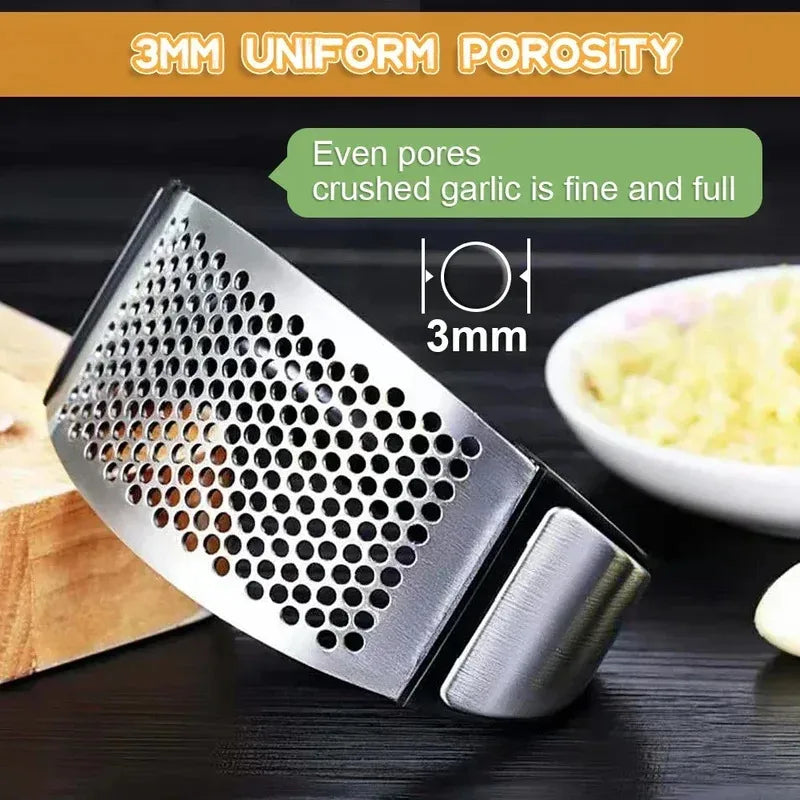 Stainless Steel Garlic Press