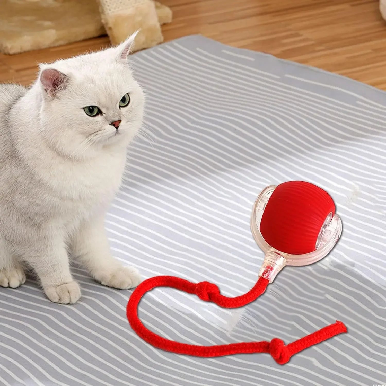 Automatic Rolling Ball Cat Toy