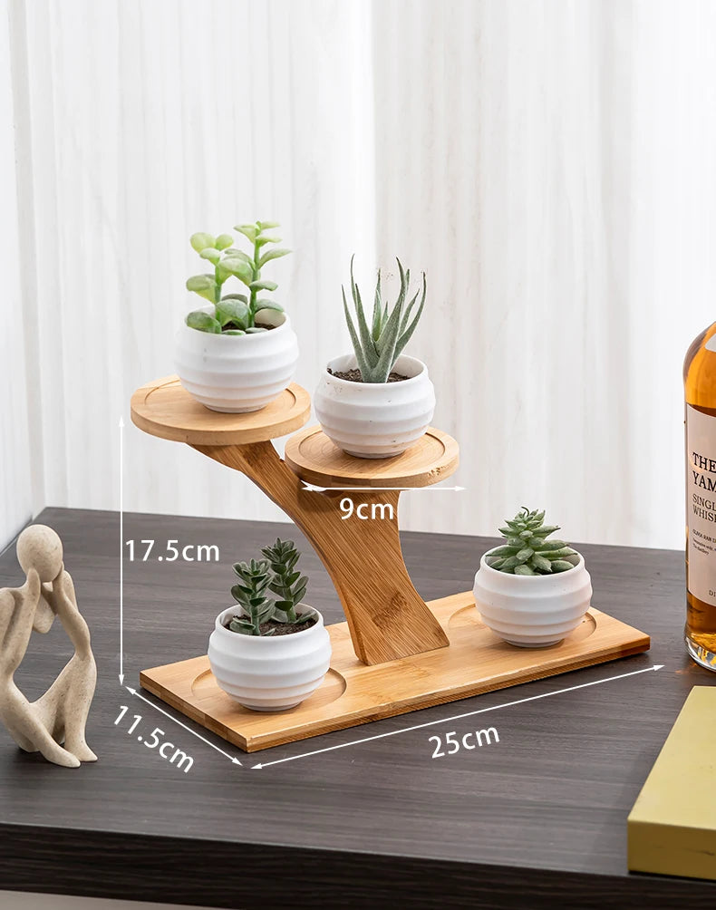 Indoor Plant Stand