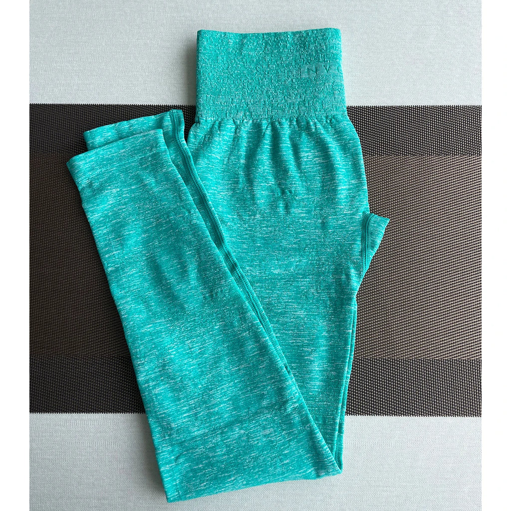 Seamless High Waist Yoga Leggings