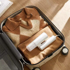 Handheld Portable Steamer 2.0