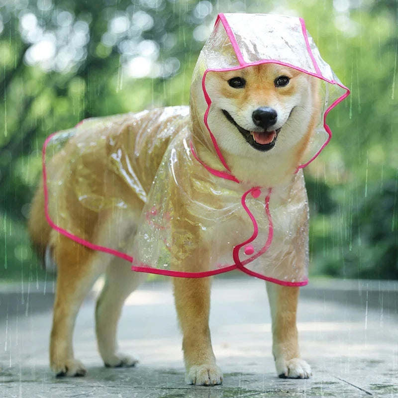 Transparent Dog Raincoat