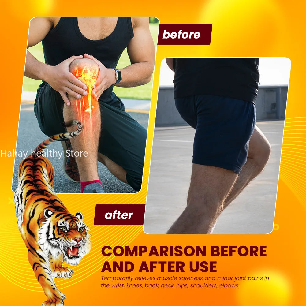 TCM Pain Relief Patch