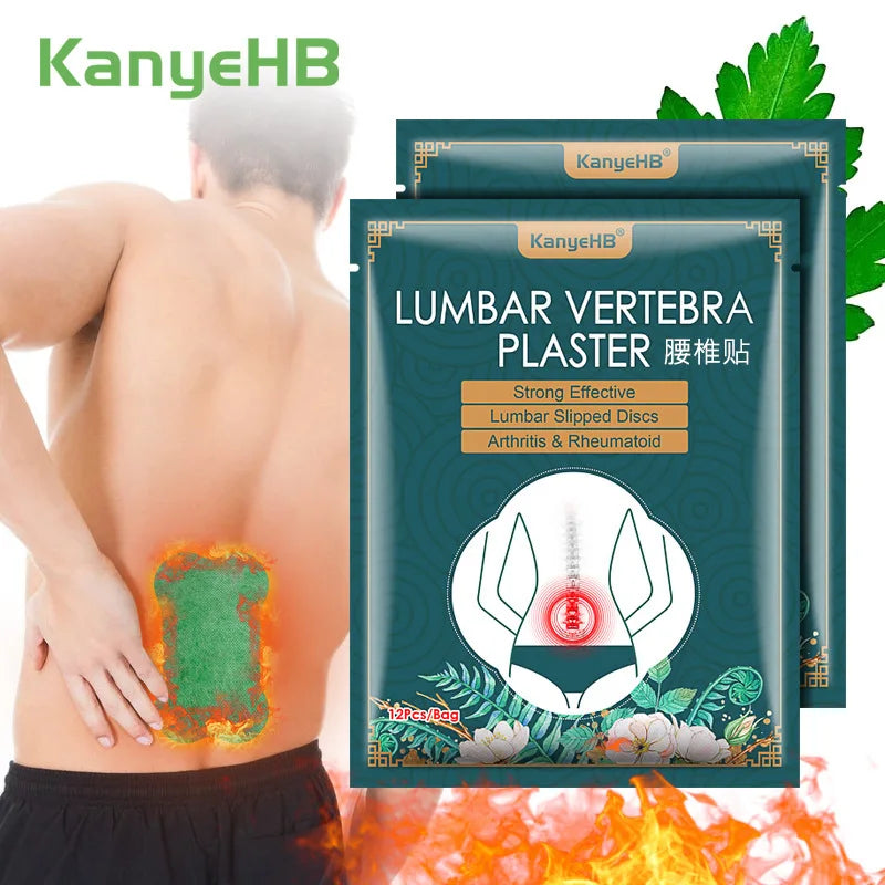 Wormwood Pain Relief Patches