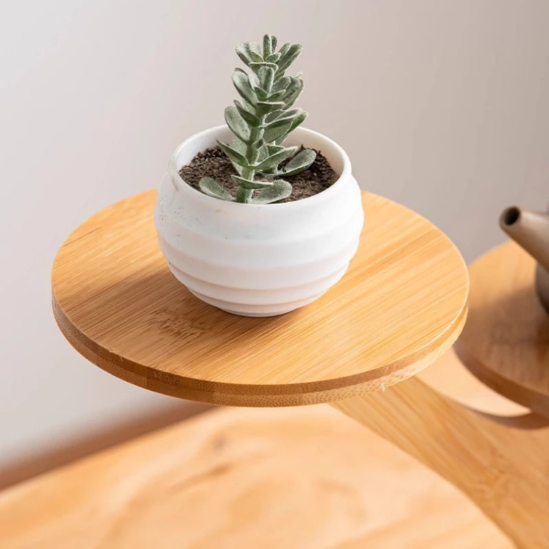 Indoor Plant Stand